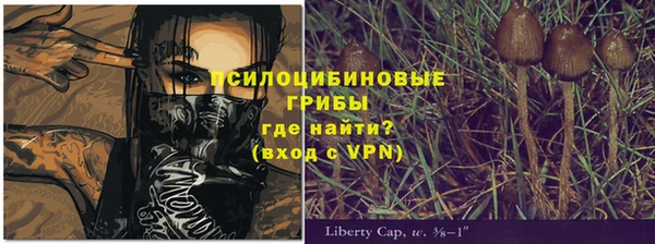 Альфа ПВП Семёнов