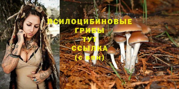 2c-b Семикаракорск
