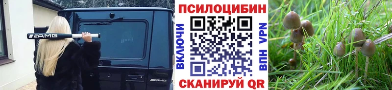 Псилоцибиновые грибы Cubensis  Клинцы 