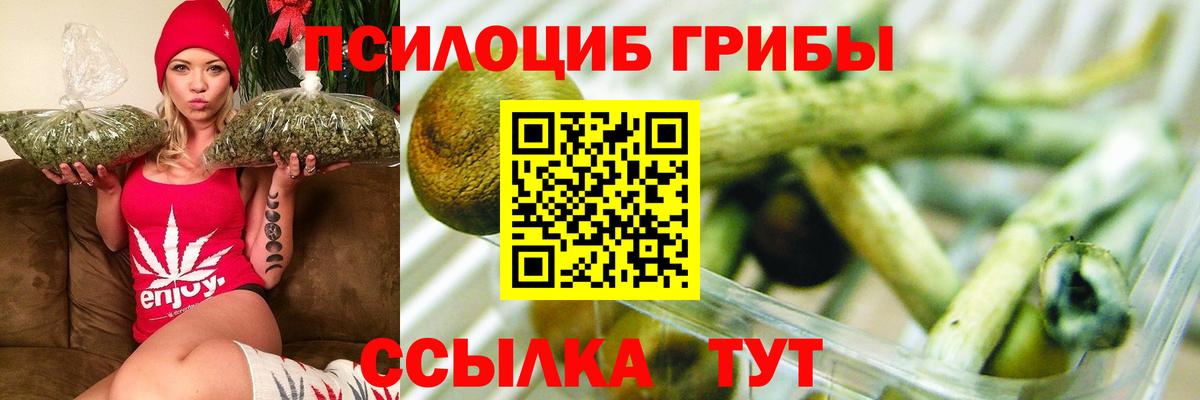 где продают   Галлюциногенные грибы ЛСД  Вход с VPN  Псилоцибиновые грибы прущие грибы  Клинцы 
