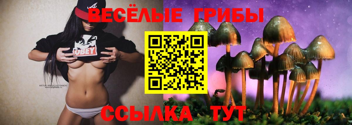 Галлюциногенные грибы Cubensis Клинцы